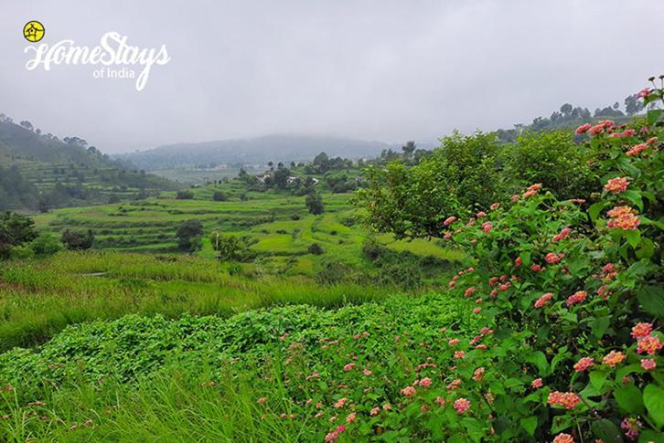 Dwarahat Village Farmstay- Babaji'S Cave Exteriér fotografie