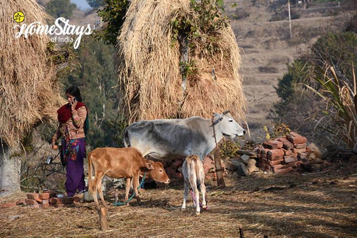 Dwarahat Village Farmstay- Babaji'S Cave Exteriér fotografie