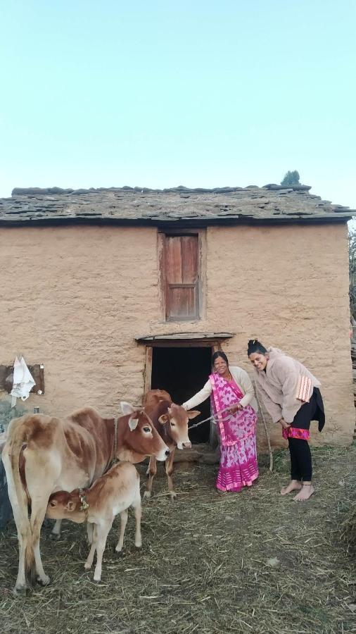 Dwarahat Village Farmstay- Babaji'S Cave Exteriér fotografie